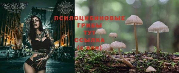 шишки Алзамай