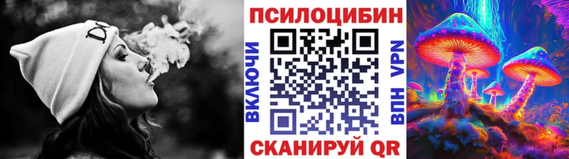 Псилоцибиновые грибы Psilocybe  сайты даркнета официальный сайт  Брюховецкая 